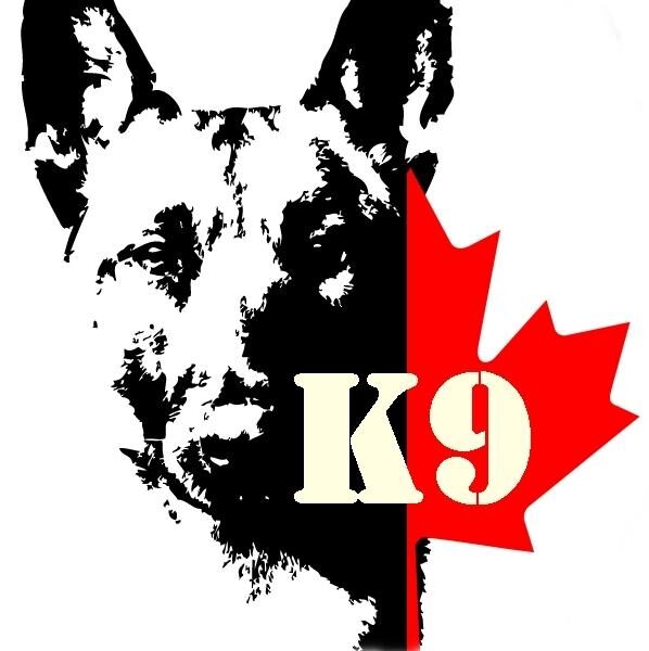 k9 academy