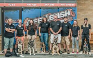 off leash training near me