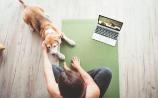 best online dog training