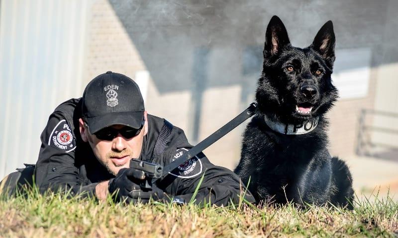 k 9 training near me