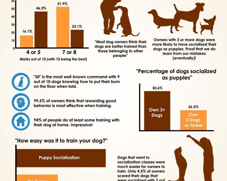 dog training methods