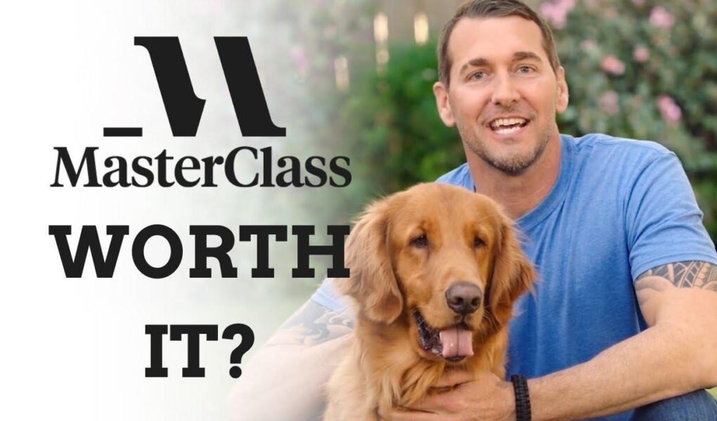 masterclass dog training