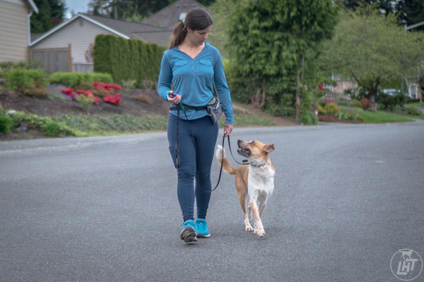 loose leash training