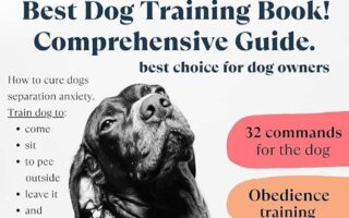 cheap dog training