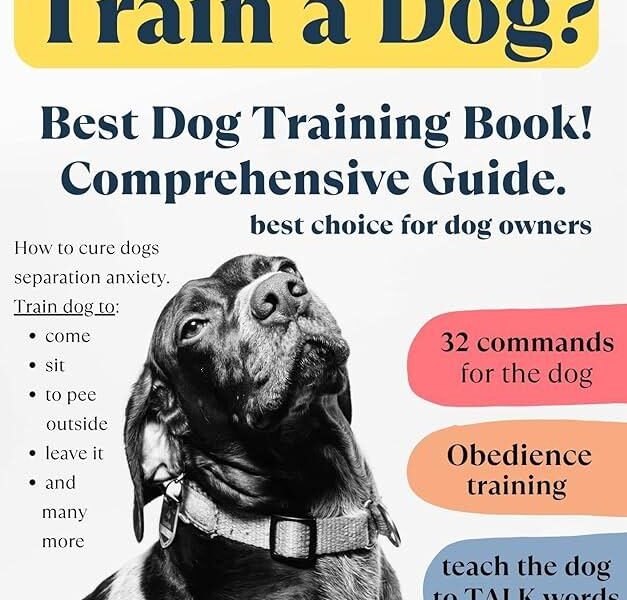 cheap dog training