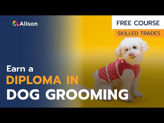 grooming courses