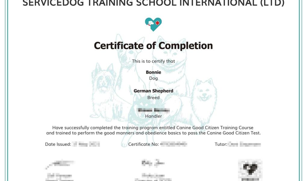 good canine citizen training near me