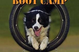 puppy boot camp near me