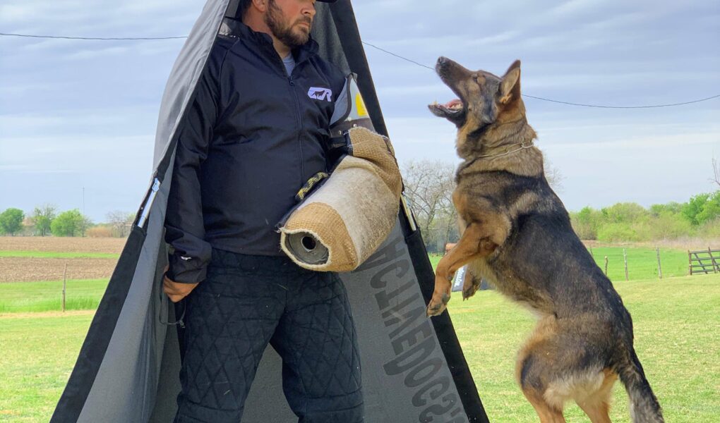 schutzhund training near me