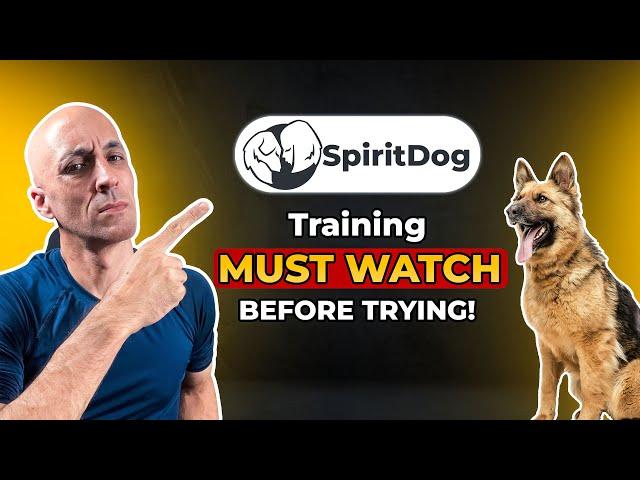 spirit dog training